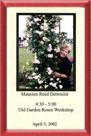 Maureen Detweller