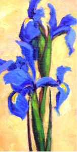 Louisiana Iris